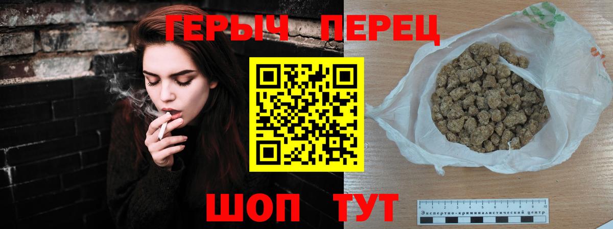 ГЕРОИН хмурый Бердск