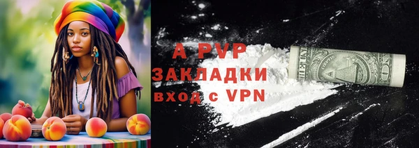 ECSTASY Козловка