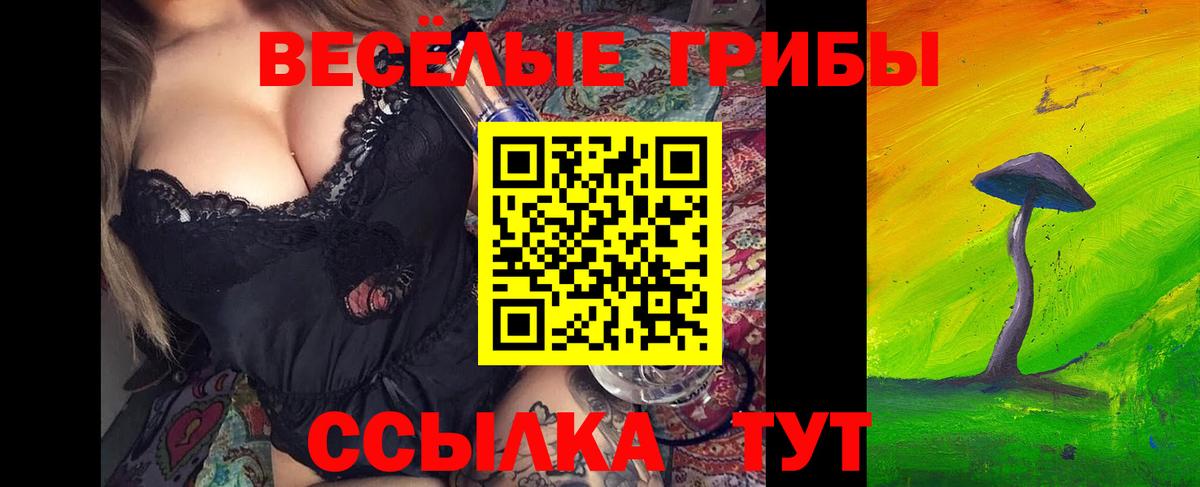 Бердск  Галлюциногенные грибы MAGIC MUSHROOMS  Вход с VPN 