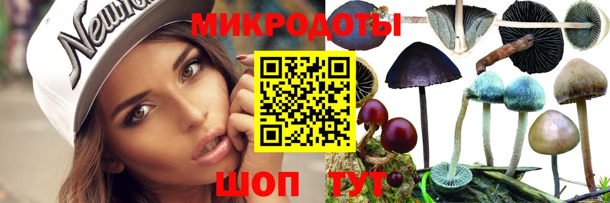 Галлюциногенные грибы GOLDEN TEACHER Бердск